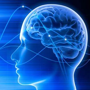 Neurologie
